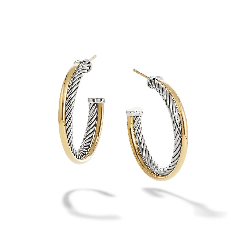 Hoop Earrings with 18K Gold